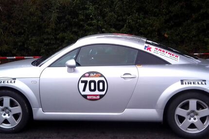 Audi TT 254.000 km 17.900 &euro; Hosenfeld 36154