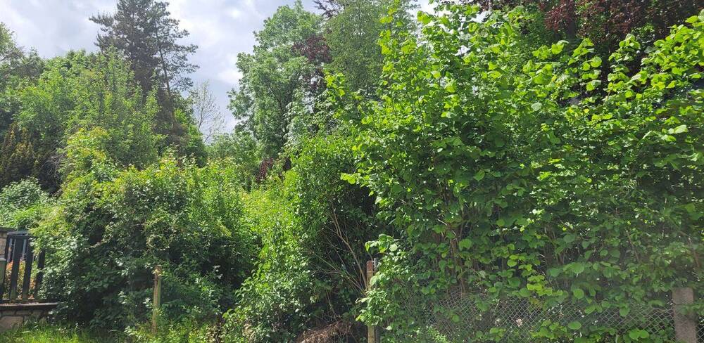 Grundstück Saalfeld/Saale Saalfeld - 400.000&euro; | Angebot:25775162