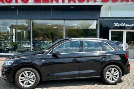Audi Q5 119.812 km 30.950 &euro; Burg 39288