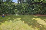 Büro oder Praxis für Heilpraktiker und Co. *Stellplatz *Terrasse
