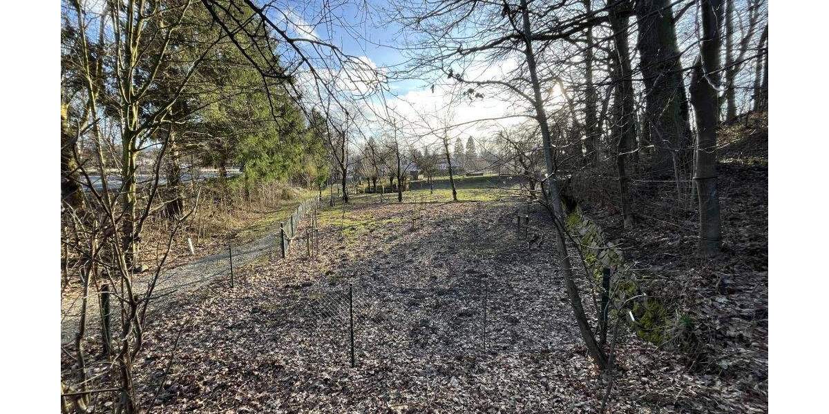 Grundstück Extertal-Bösingfeld Bösingfeld - 51.000&euro; | Angebot:25729448