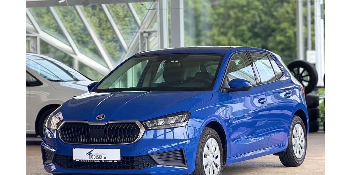 Skoda Fabia 35.460 km 11.990 &euro; Salzgitter 38228
