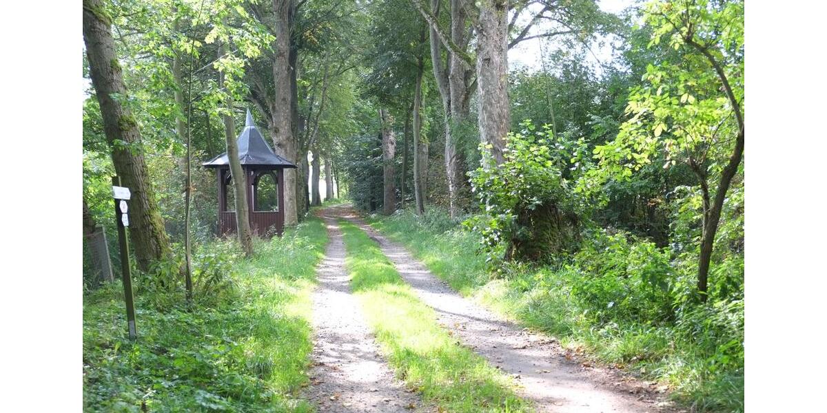 Terrassenwohnung Wunsiedel - 3.5 Zimmer, 112 m&sup2;, 995&euro; | Angebot:25542969