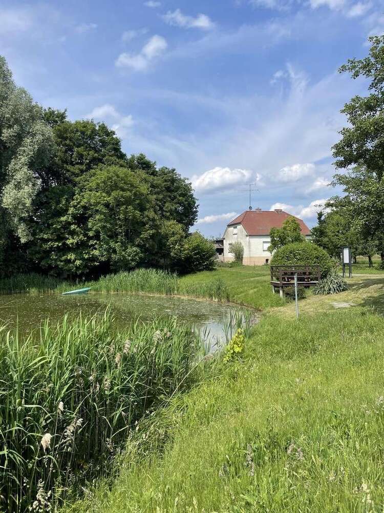 Haus zum Kaufen in Tauche 249.000 € 100 m²