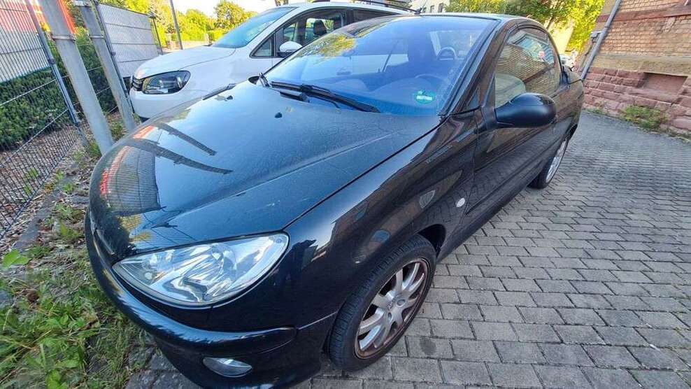 206