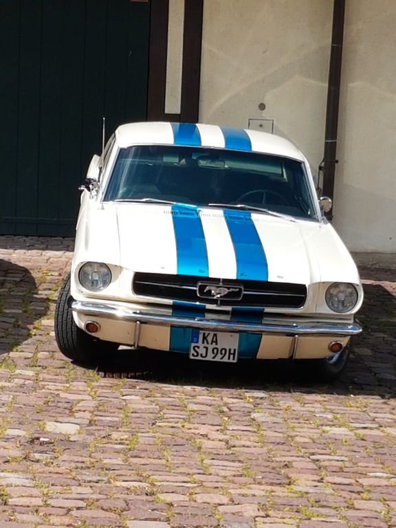 Mustang