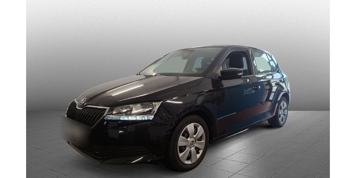 Skoda Fabia 20.076 km 13.980 € Diez 65582