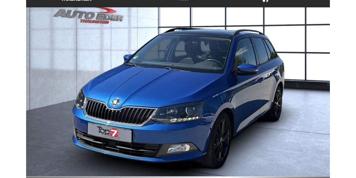 Skoda Fabia 101.000 km 11.900 &euro; Traunstein 83278