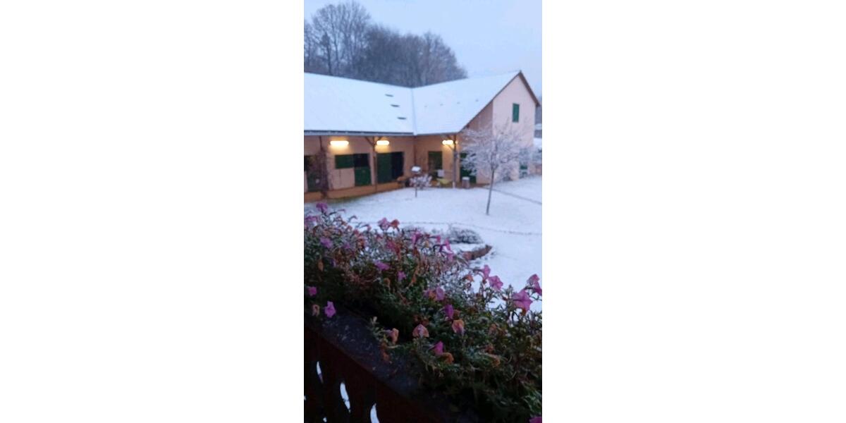 Einfamilienhaus Birkenfeld - 860.000&euro; | Angebot:26266442