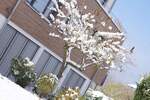 Etagenwohnung Bodman-Ludwigshafen Bodman - 3 Zimmer, 97 m&sup2;, 1.600&euro; | Angebot:25698576