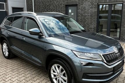 Skoda Kodiaq 202.000 km 17.400 &euro; Neuenhaus 49828