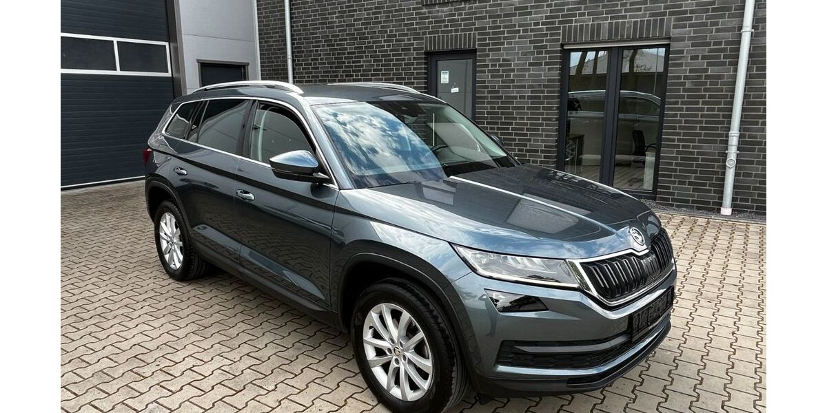 Skoda Kodiaq 202.000 km 17.400 &euro; Neuenhaus 49828