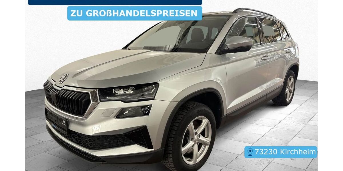 Skoda Karoq 202.389 km 19.307 &euro; Frankfurt 60596