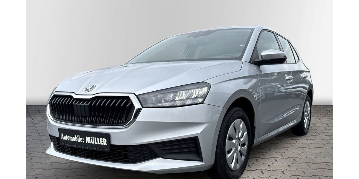 Skoda Fabia 61.897 km 12.990 &euro; Wurzen 04808