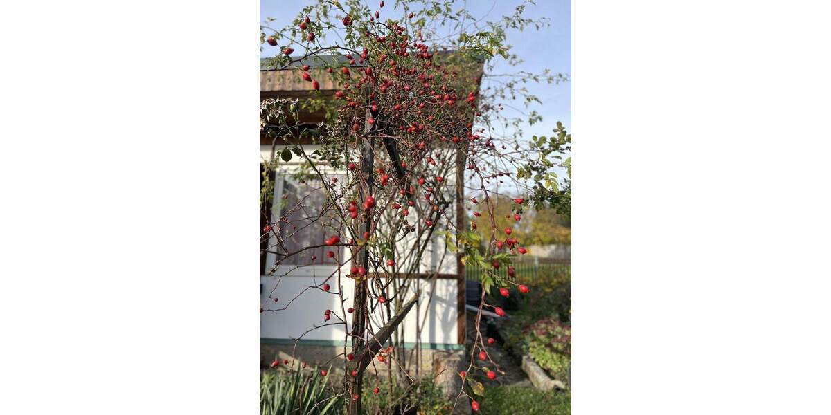Ländliches Freizeit-Gartengrundstück mit Bungalow zimmer