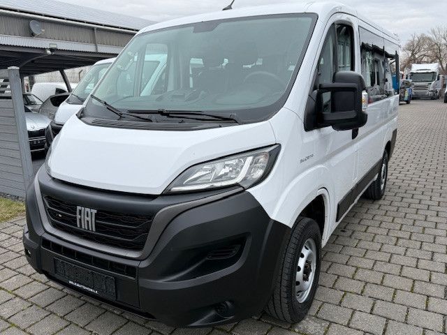 Ducato