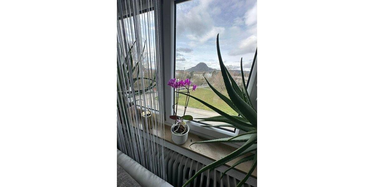 Dachgeschoßwohnung Singen (Hohentwiel) - 2 Zimmer, 47 m&sup2;, 128.000&euro; | Angebot:26606974