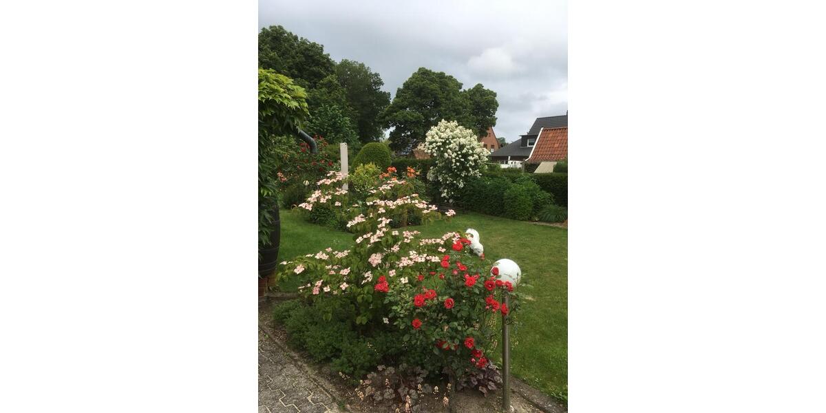 Einfamilienhaus Warendorf - 6 Zimmer, 178 m&sup2;, 420.000&euro; | Angebot:25921686