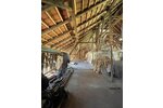 Lobbach, MFH + Nebengebäude - Mehrfamilienhaus, Wohnhaus Lobbach Lobenfeld | Angebot:16602125