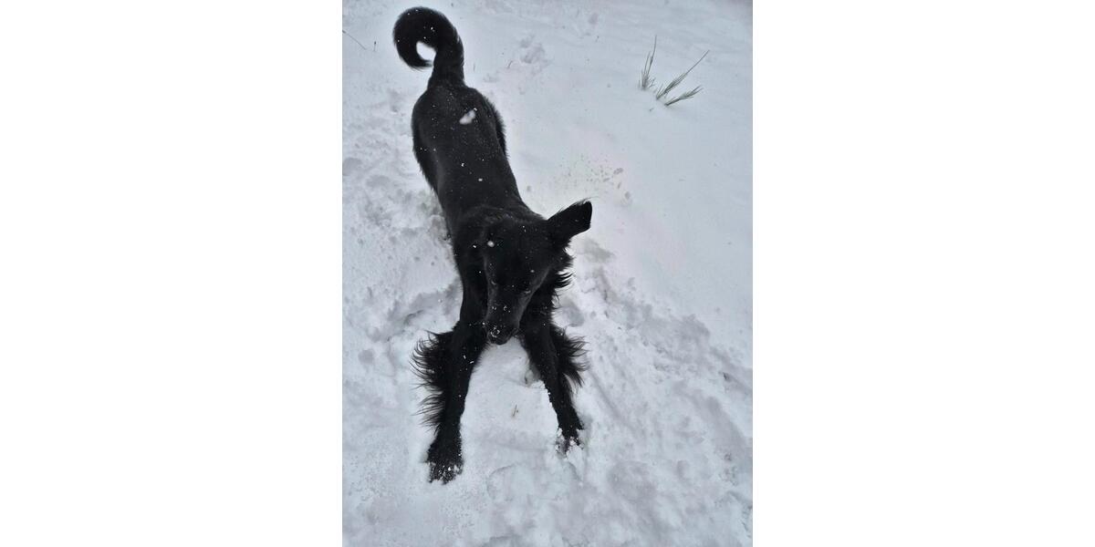 Einfamilienhaus Solms - 1.000&euro; | Angebot:24562811