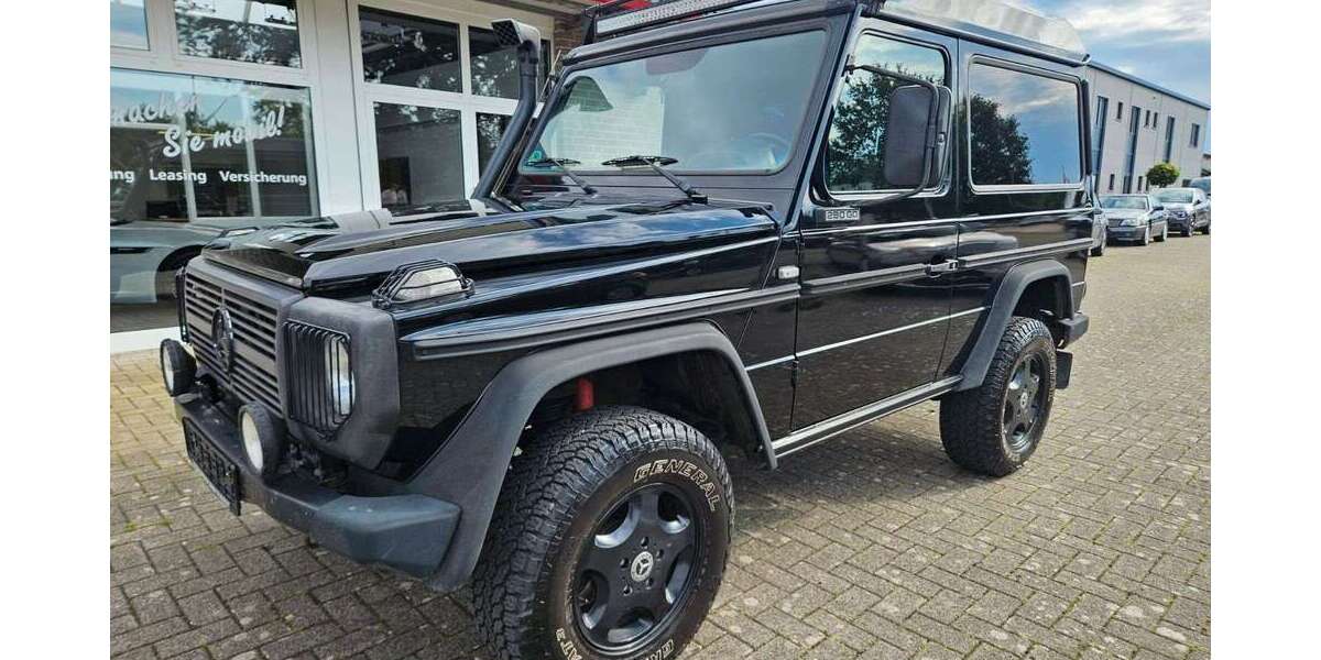 Mercedes-Benz G 290 228.500 km 39.990 &euro; Recke 49509