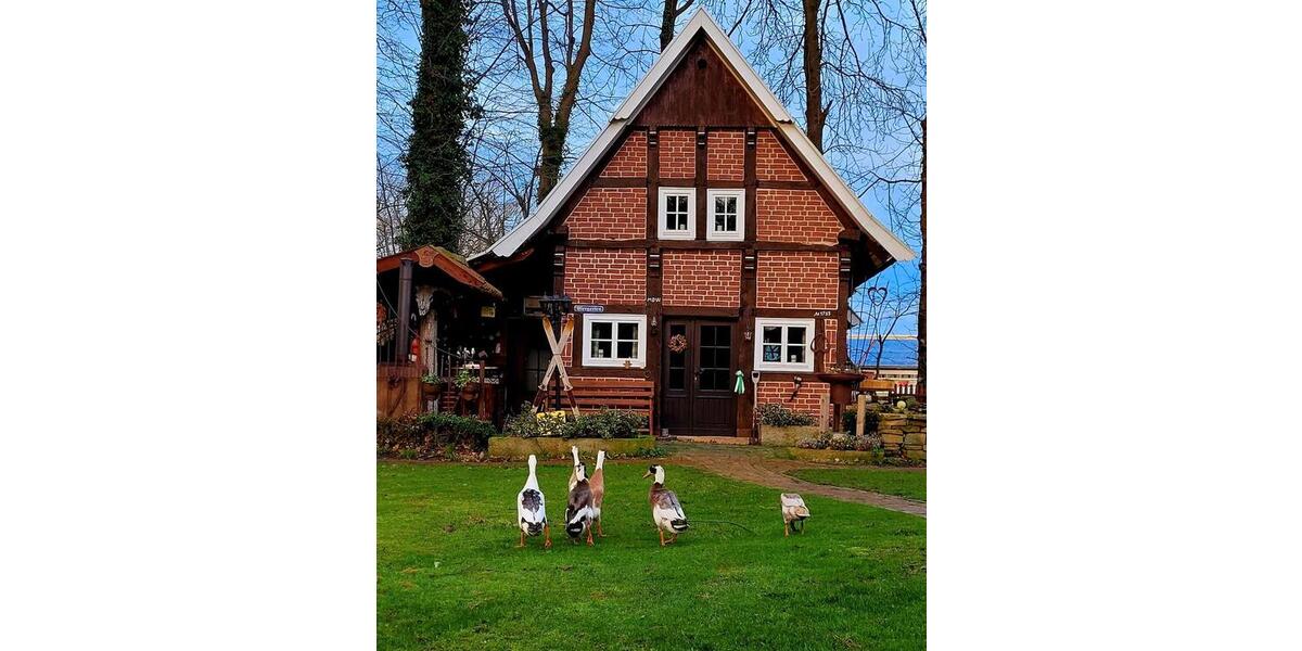 Bauernhaus, Landhaus Bramsche - 8 Zimmer, 450 m&sup2;, 1.234.567&euro; | Angebot:24558786