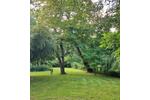 Mehrfamilienhaus, Wohnhaus Friedrichsdorf - 15 Zimmer, 460 m&sup2;, 2.490.000&euro; | Angebot:26787363