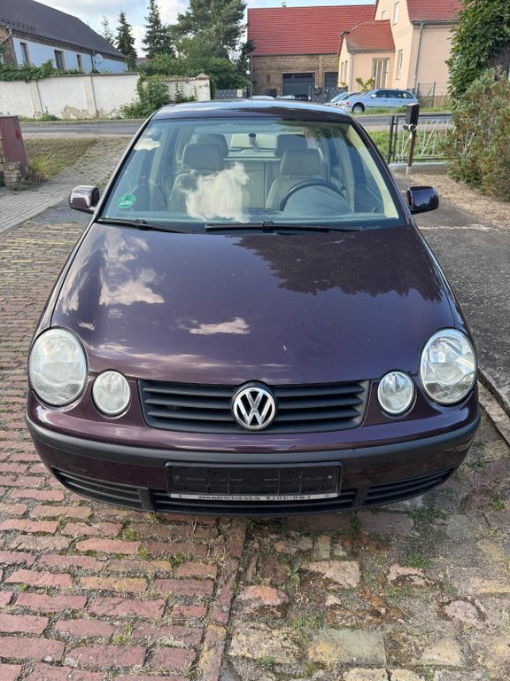 Polo