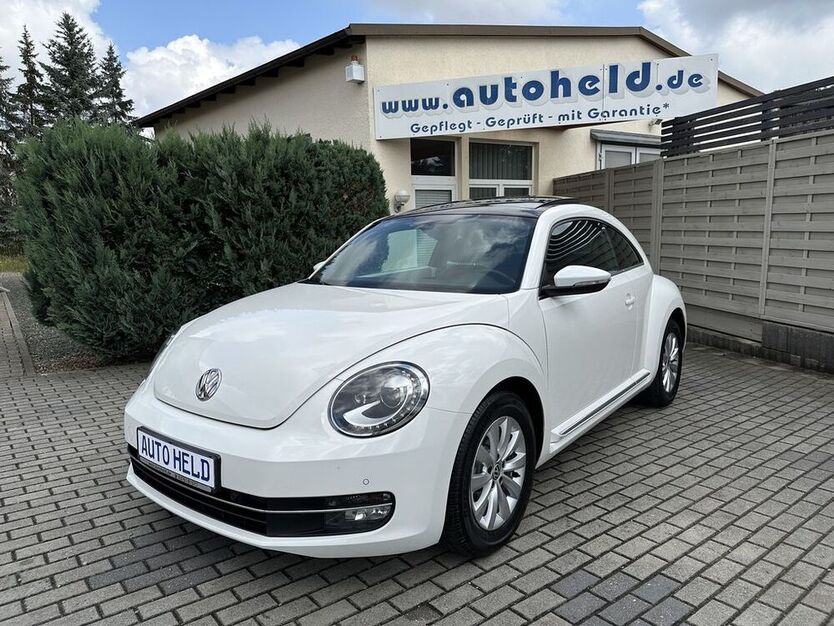 Beetle