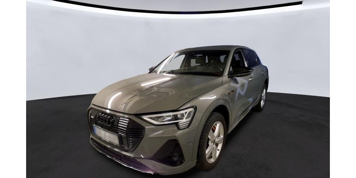 Audi e-tron 49.998 km 34.869 &euro; Hagen 58091