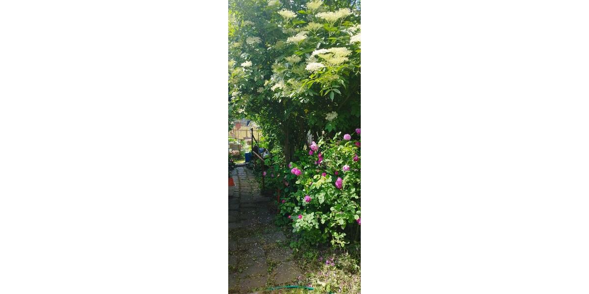 Doppelhaushälfte Penkun - 299.000&euro; | Angebot:26913639