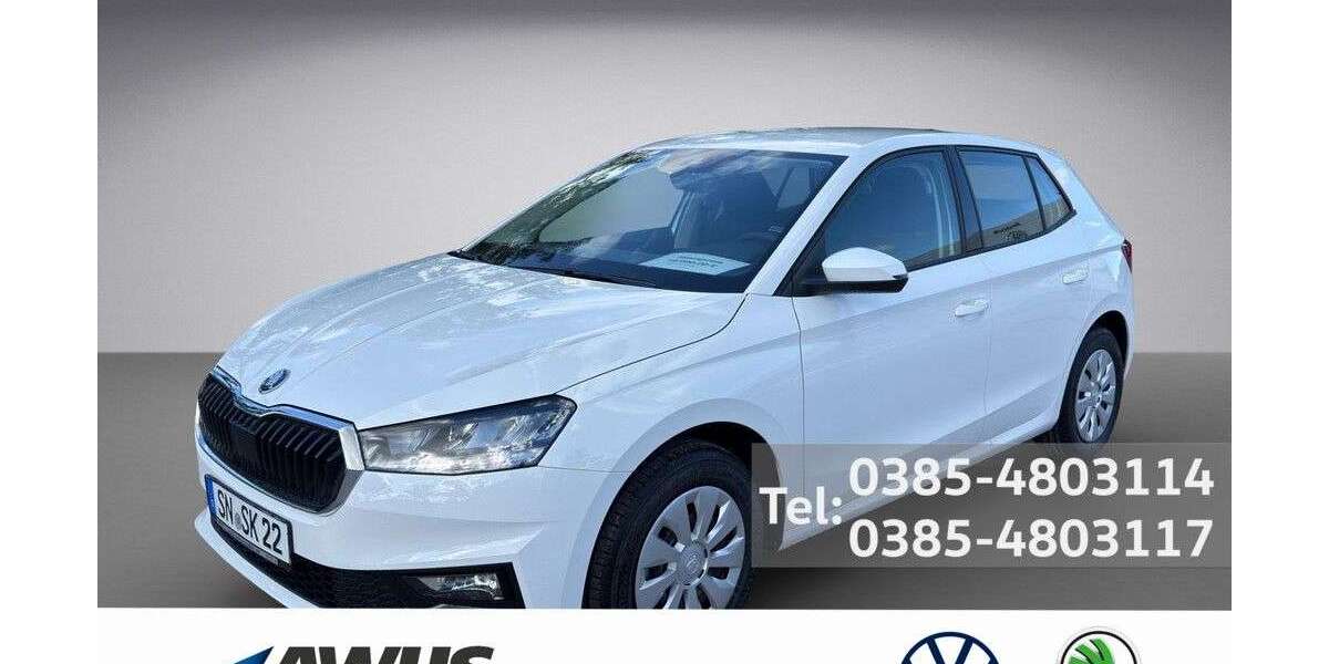 Skoda Fabia 2.500 km 19.990 &euro; Schwerin 19057