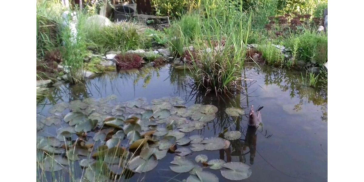 Einfamilienhaus Büren - 3.5 Zimmer, 120 m&sup2;, 219.000&euro; | Angebot:25343693