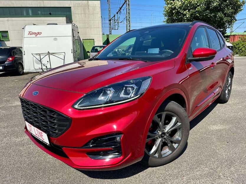Kuga