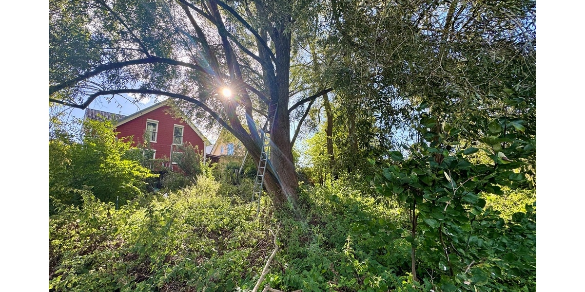 Oberursel - Stierstadt: Gepflegtes Einfamilienhaus in Feldrandlage! 6.5 zimmer