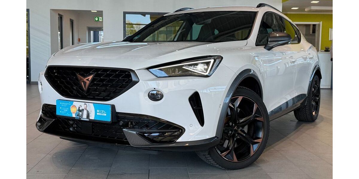 Cupra Formentor 35.164 km 29.999 &euro; Herford 32052