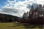 Einfamilienhaus Amberg - 5 Zimmer, 100 m&sup2;, 340.000&euro; | Angebot:26705224