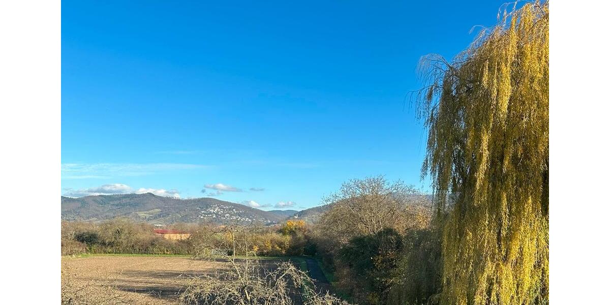 Schöne Dachgeschosswohnung. 4 ZKB mit EBK, Terrasse, Kamin… 4 zimmer