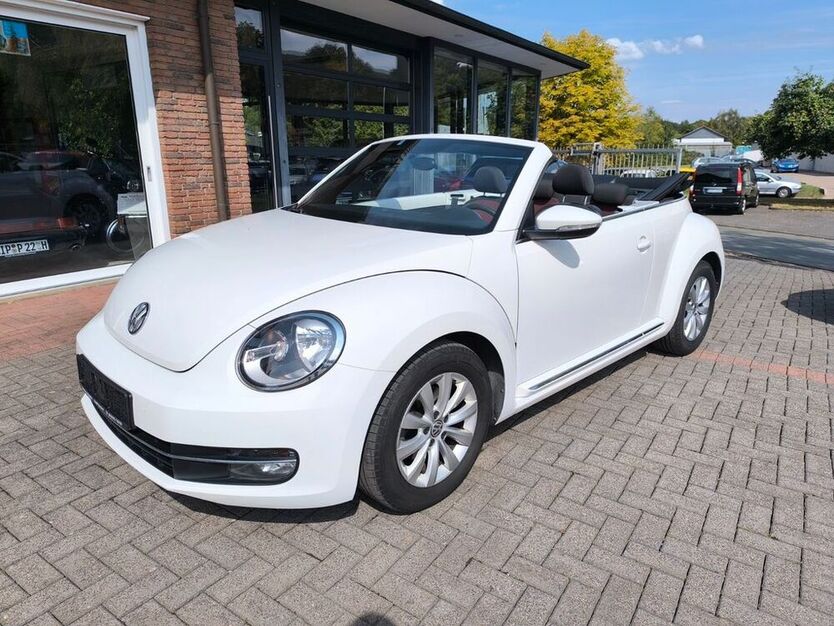Beetle
