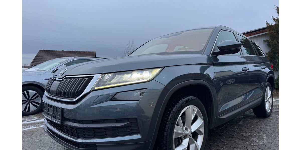 Skoda Kodiaq 132.431 km 19.990 &euro; Ichenhausen 89335