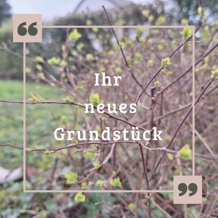 Grundstück zu verkaufen in Grevenbroich 127.000 € 449 m²