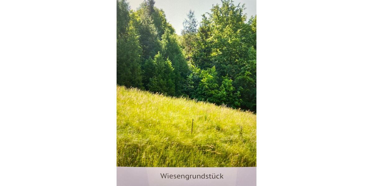 Einfamilienhaus Pößneck - 6 Zimmer, 92 m&sup2;, 59.000&euro; | Angebot:26867247