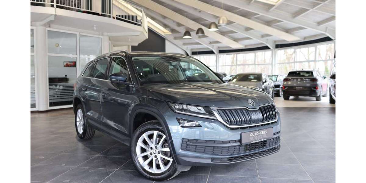 Skoda Kodiaq 79.762 km 26.980 &euro; Nuthetal 14558