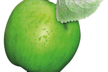 Bürofläche mit Renovierungspotenzial in Bayreuths Laineck 1 zimmer