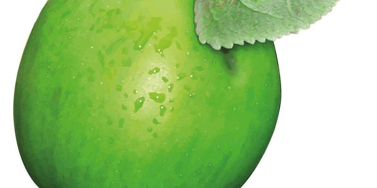 Gewerbeobjekt Bayreuth Laineck - 1 Zimmer, 60 m&sup2;, 85.000&euro; | Angebot:24424493