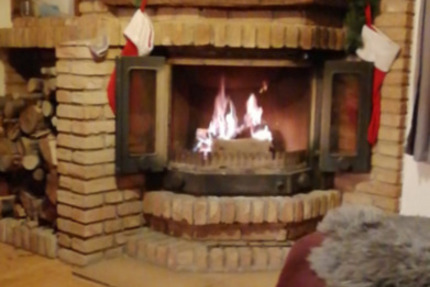 Warburg-Altstadt: Ökologisch saniertes Einfamilienhaus (2020) mit Kamin und großem Garten 7 zimmer