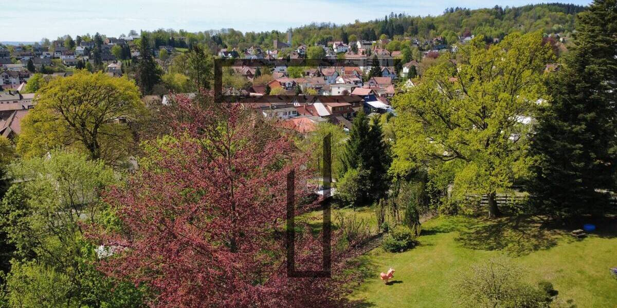 Etagenwohnung Bad Sachsa - 3 Zimmer, 99 m&sup2;, 97.900&euro; | Angebot:26392368