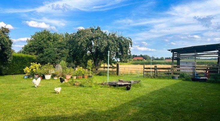 Einfamilienhaus Lalendorf - 5 Zimmer, 140 m&sup2;, 279.000&euro; | Angebot:26572613