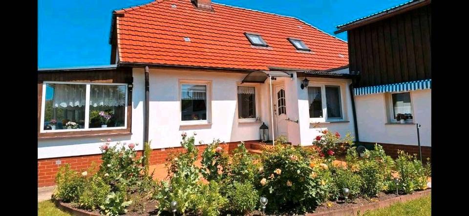 Einfamilienhaus Plau am See - 5 Zimmer, 116 m&sup2;, 199.000&euro; | Angebot:26926813