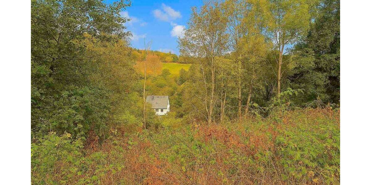 Grundstück Winterberg Silbach - 55.000&euro; | Angebot:26319313